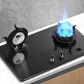 Amazon.com: Household Gas Stove Natural Gas Liquefied Gas